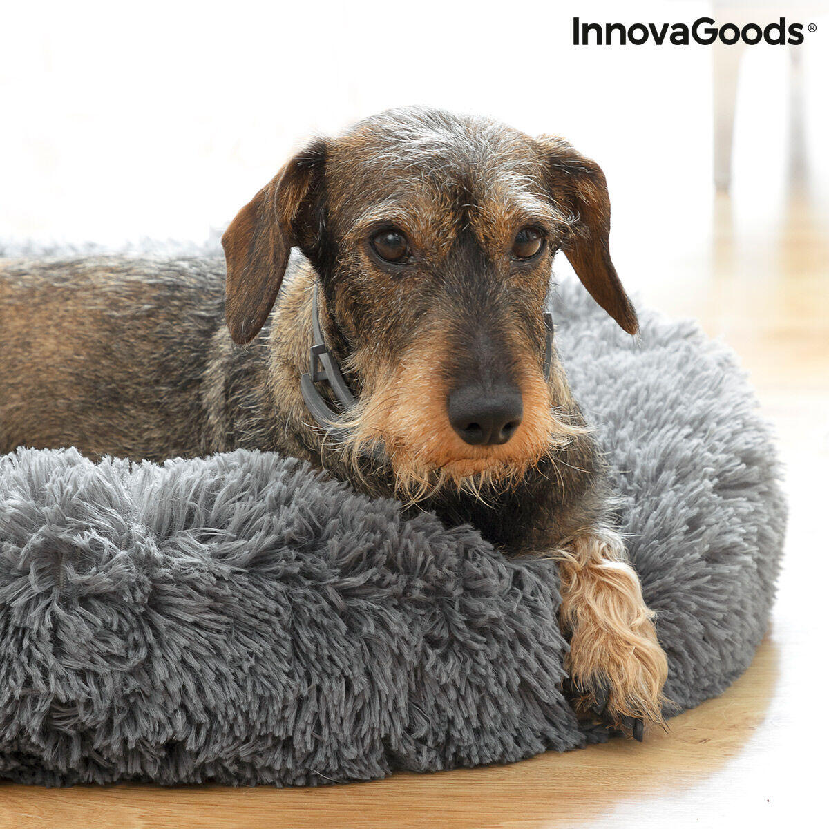 Cama Antiestrés Mascotas